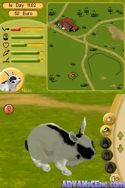 Image n° 3 - screenshots : Mijn Dierenschool